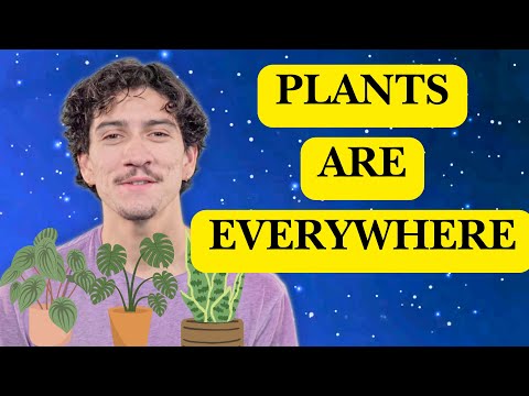 "Plants are Everywhere" Read Along Story for Kids! Calming Bedtime Story