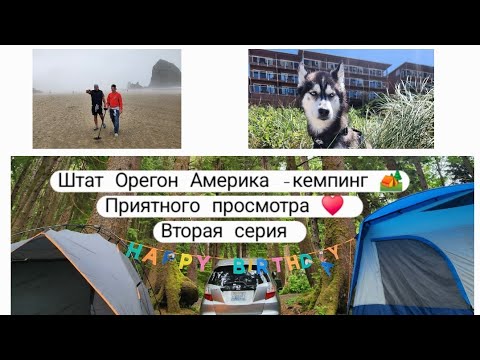 Вторая СЕРИЯ 😂 кемпинг 🏕  друзья и собаки | Океан Штат Орегон | Добра вам #usa #shorts #dogs #сша