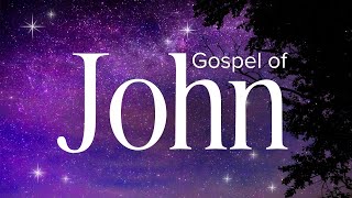 Gospel of John - Abide Audio Bible: (Holy Bible Audio)