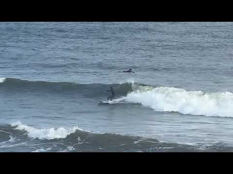 NE Florida Surf & Beach Update 11am 12.28.24