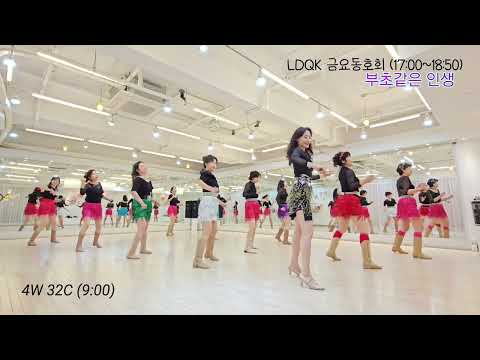 Violet Life (부초같은 인생) Remix Line Dance l Beginner l Linedancequeen l Junghye Yoon