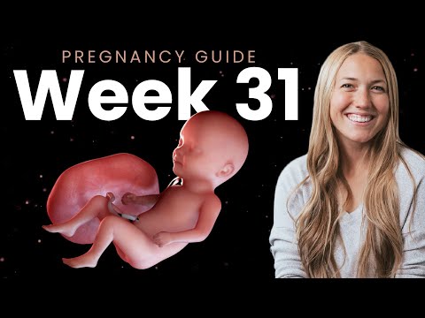 31 Weeks Pregnant | Week By Week Pregnancy