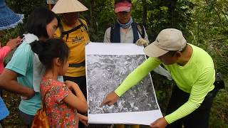 來雞母嶺慢慢遊(1)：淡蘭北路國家級綠道