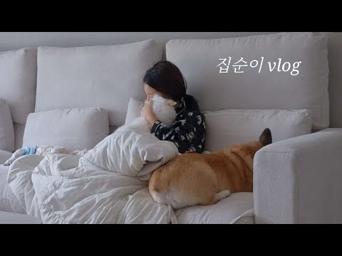 직장인의 휴무, 밖순이의 집순이 vlog (feat. 강아지 세 마리)