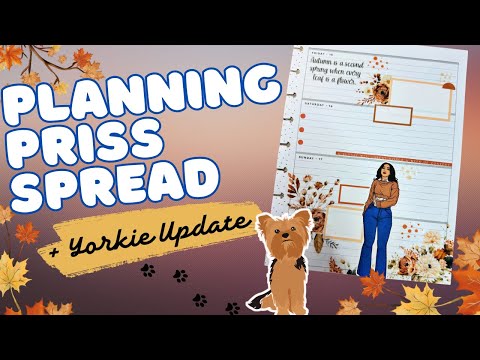 PWM | PLANNING PRISS SPREAD | YORKIE UPDATE