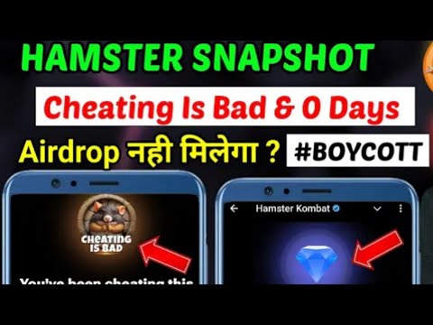 Hamster Kombat Cheating Is Bad 👎😢 | Kya kare | Hamster Kombat Snapshots Cheating is bad Remove |