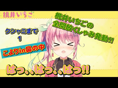 【ASMR】 クシャミ【はっ、、はっ、、はっ!!