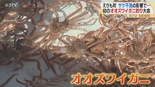 不漁のサケに代わって…！　オオズワイガニ釣り大会開催　大賑わいに町長「続けたい」　北海道えりも町