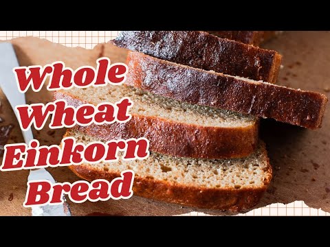 Homemade No Knead Whole Wheat Einkorn Bread Recipe | Loaf Pan Bread Bake