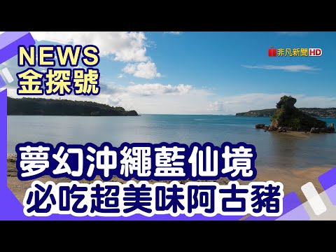 日本自駕這樣玩 | 古宇利島 心形岩 道之驛許田  OKINAWA 水果樂園 美麗海水族館 備瀨福木林道  百年古家大家 ASHIBINAA 沖繩 Outlet【News金探號】