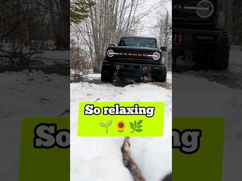 This Sound was PROVEN to take away All your STRESS 🔊😊 #shorts #asmr #offroad