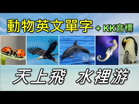 動物英文單字共30個+KK音標，看音標學單字。相同情境一起學，快速擴充單字量。單字記憶通，好唸，好記，學得快，增加學習樂趣，快速學習大量單字。