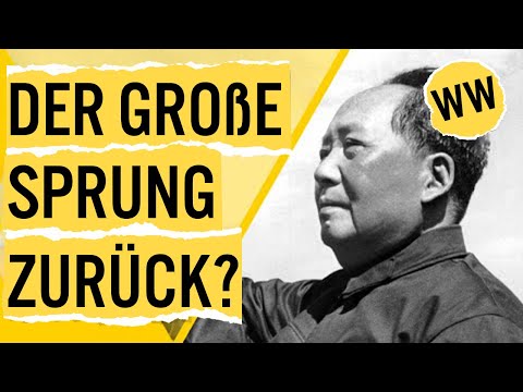 Chinas größter Fehler | WirtschaftsWissen