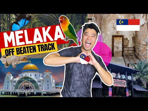 🟥👮🏻‍♂️⬜️ Off the Beaten Track Melaka 🦜6 Hidden Gem places that you don't know exist ! 马六甲隐藏景点