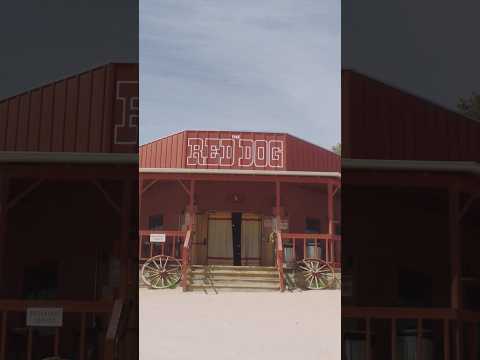 The Origins of Pioneertown's Western Watering Hole, The Red Dog| Earth Focus | PBS SoCal