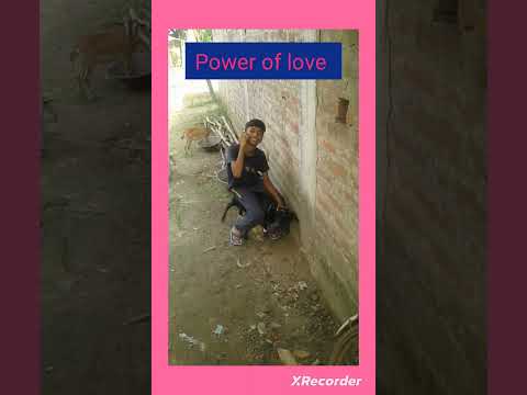 power of love #comedy#short #video#