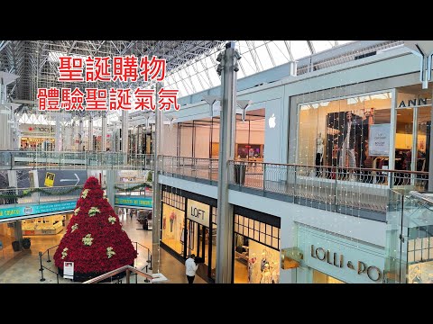 【華園花道】商場裡的聖誕氣氛去哪兒了？｜吐槽星巴克｜Where Has The Christmas Spirit Gone In Shopping Mall