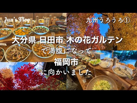 【大分•福岡Vlog】九州うろうろ①木の花ガルテンで満腹になって福岡市に向かいました