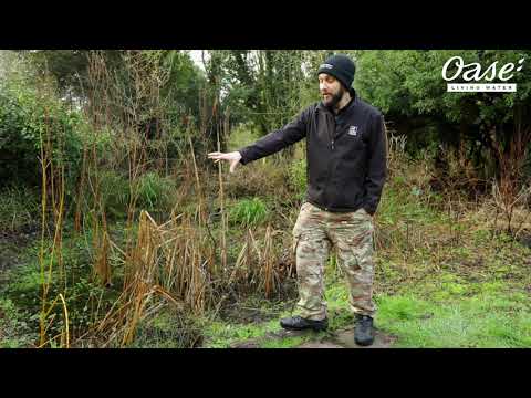 OASE Pond Care with Staffordshire Wildlife Trust