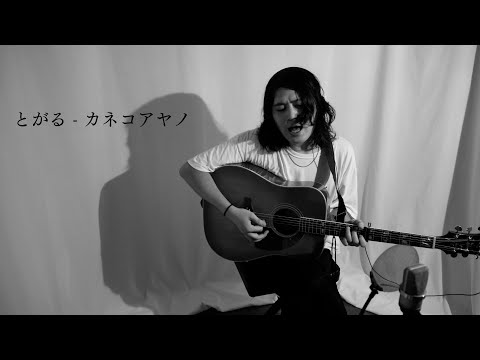 【カバー】とがる - カネコアヤノ