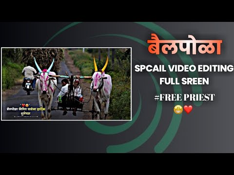 🤩Bail Pola Video Editing Alight Motion | Bail Pola Video Editing | Bail Pola Status | बैलपोळा Status