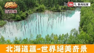 【北海道】世界絕美仙境「白金青池美瑛」必遊景點上帝打翻的顏料！食尚玩家