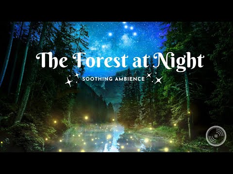 Enchanting Forest at Night: Soothing Ambient Sounds