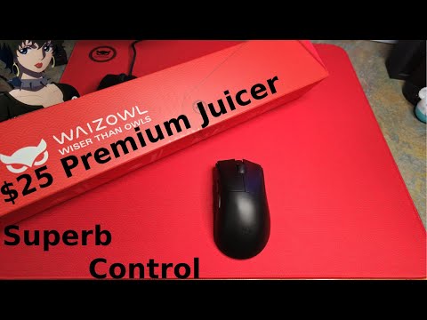 $25 Premium Control Pad for Valorant and CS2 .Waizowl Falcon Mousepad Review. (Shenzhen Exclusive)