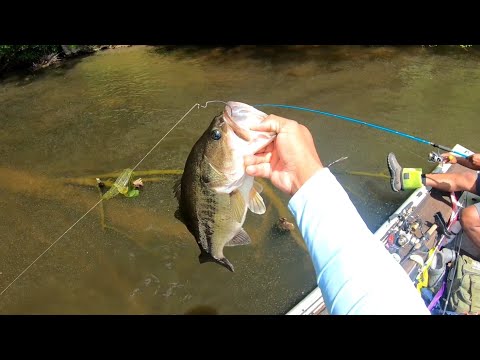 Bass Fishing The Spawn On Swift Creek Reservoir!!