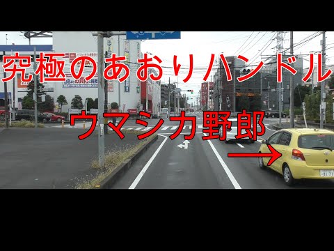 【あおりハンドル】このウマシカ頭湧いてんの？恥ずかしいからやめろって笑