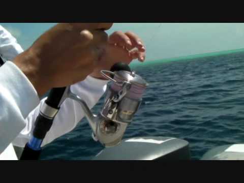 FISHING BUDDY Trip to Maldives-Part 3.wmv