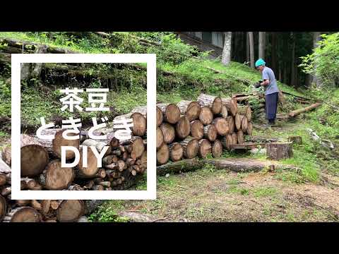 猫が現場チェック,薪小屋をDIY,現場猫,仕事猫,山中湖村の森に移住,地方移住, 自給自足生活,No73 @bokuchamame