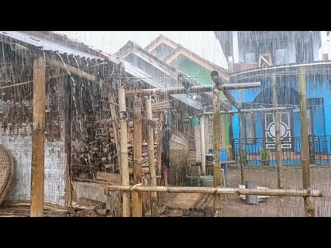 Super Heavy rain in my village | very quiet | fell asleep soundly to the sound of heavy rain