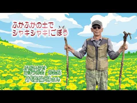 2022年11月4日放送「Fresh Vegetable」旬の青森県産ごぼうを紹介～JAおいらせより～