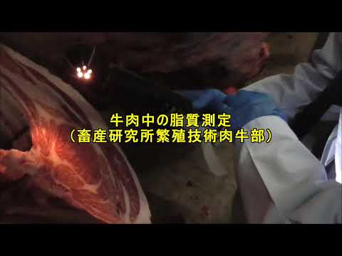 牛肉中の脂質測定CS01【畜産研究所】