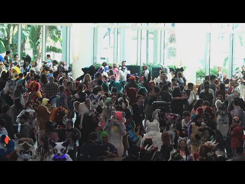 Megaplex 2023 Ambience: People and Places