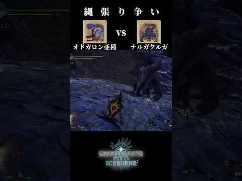 【縄張り争い】Ebony Odogaron(オドガロン亜種) vs Nargacuga(ナルガクルガ)【モンハンワールドアイスボーン】＃shorts #mhw  #monsterhunter