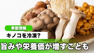 キノコは冷凍すべき？ 旨みや栄養価が増すことも