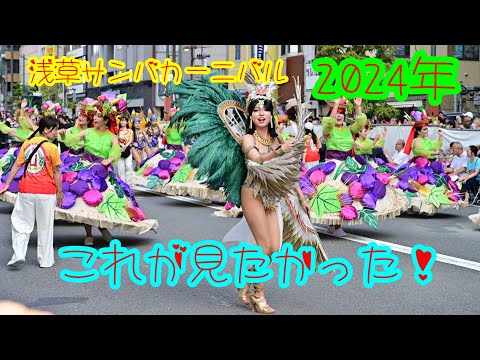 【浅草サンバカーニバル2024】 サンバと言えばこれでしょう？　見応えあり編集‼️