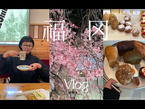 Hana福冈旅行Vlog下-舞鹤公园看樱花 在光秃秃的樱花树下吃便当 蹬天鹅船 老爷爷老奶奶开的关东煮店 水果贝果三明治 美味汉堡排蛋包饭 最后一天的面包购物