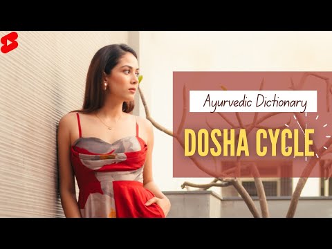 DOSHA CYCLE 🕰️| AYURVEDIC DICTIONARY #shorts