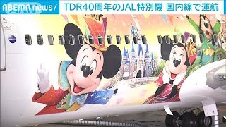 JALが東京ディズニー40周年の特別塗装機を国内線で運航(2023年6月9日)