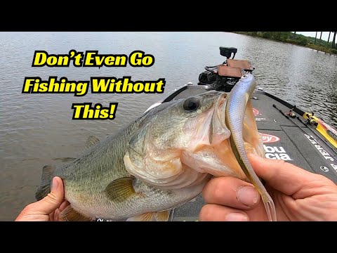 Don’t Even Think About Fishing Without This!