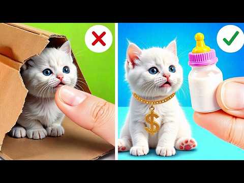 I RESCUED ABANDONED PETS || Amazing Pet Hacks with Smart Gadgets