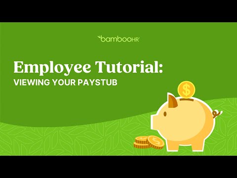 Employee Tutorial: Pay Info Tab | Viewing Your Pay Stub In BambooHR