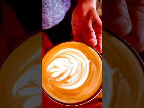 My friend’s latte art 咖啡拉花