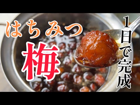 【1日で完成】梅のはちみつシロップ漬けの作り方