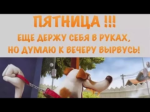 😂Ура Пятница! Нажимай!Зарядись хорошим настроением!Прикольная открытка!Friday! Fri! Пятница !