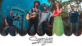 David Wax Musuem- Equal in the Darkness (Live Music) | Sugarshack Sessions