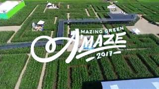 Amazing Green A'maze 2017 Day 1